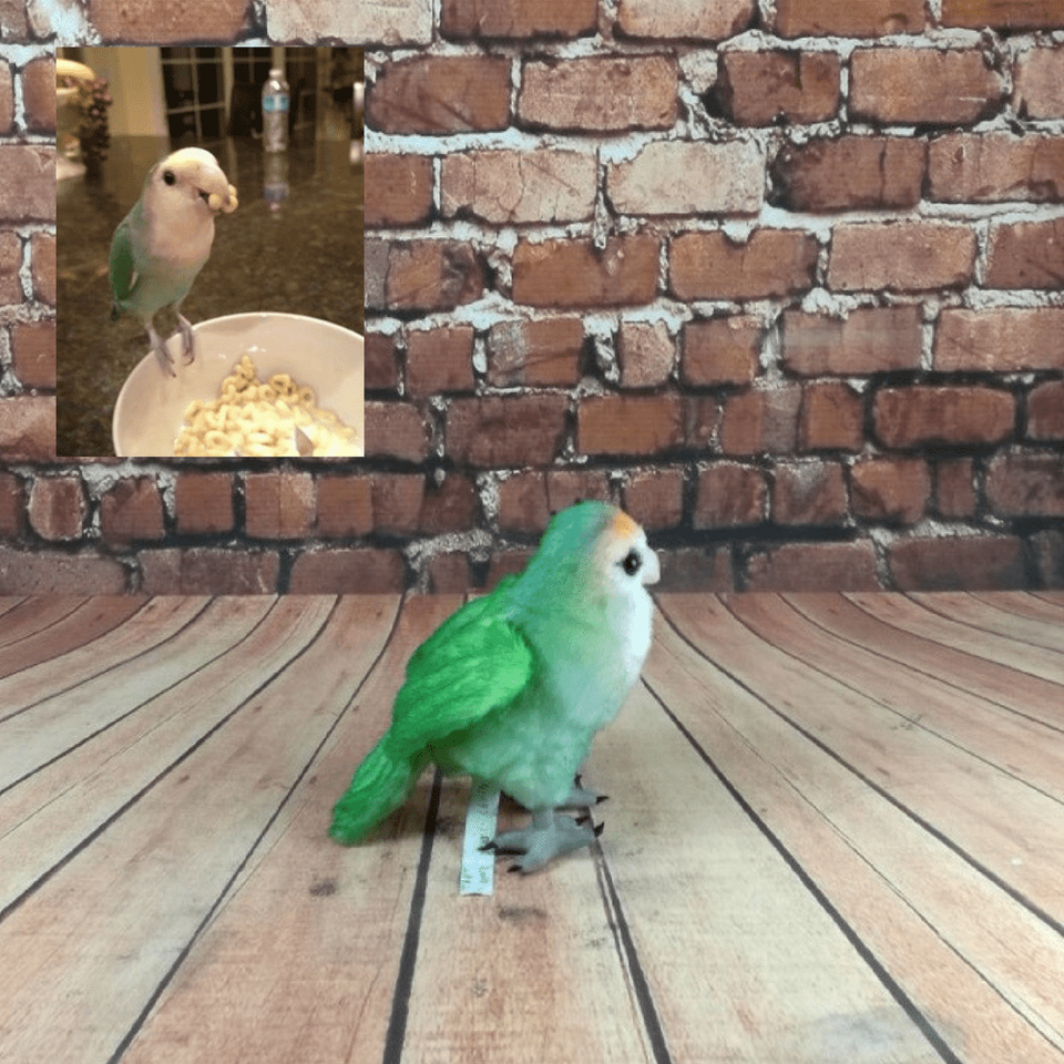 Bird Stuffed Animal Plush Lookalike Replica