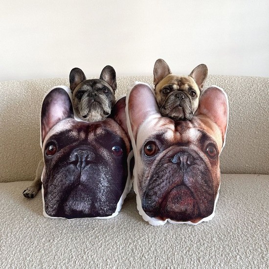custom pet pillow