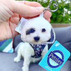 personalized pet photo pillows