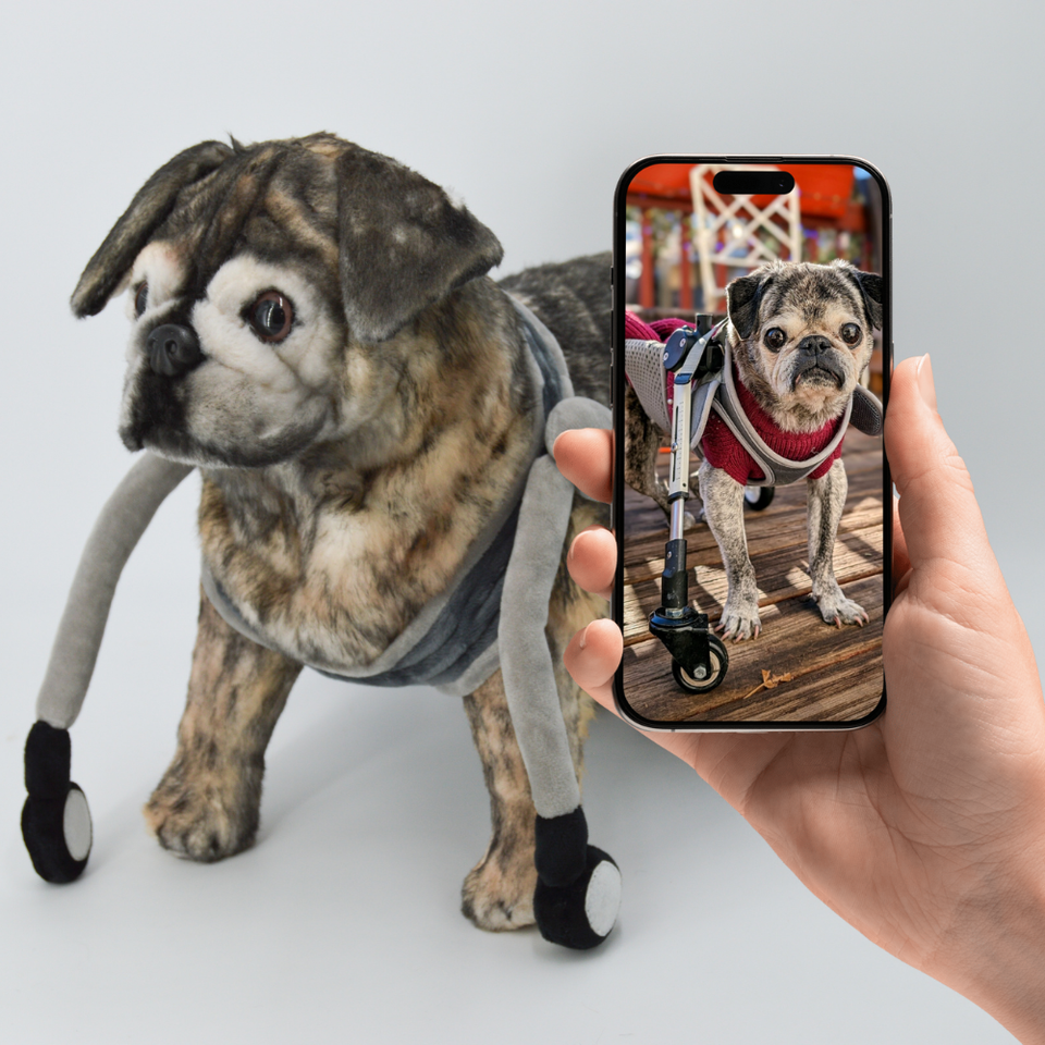 Dog stuffed animal in a wheelchair