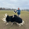 Select to view 'Ostrich stuffed animal' image