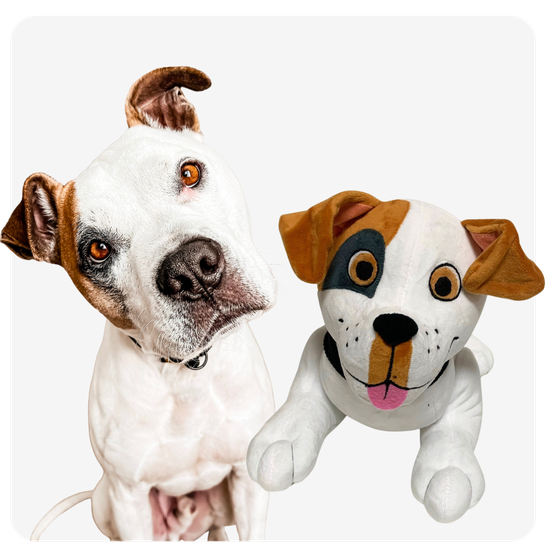 personalized pet gift plushie