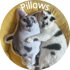 pillows