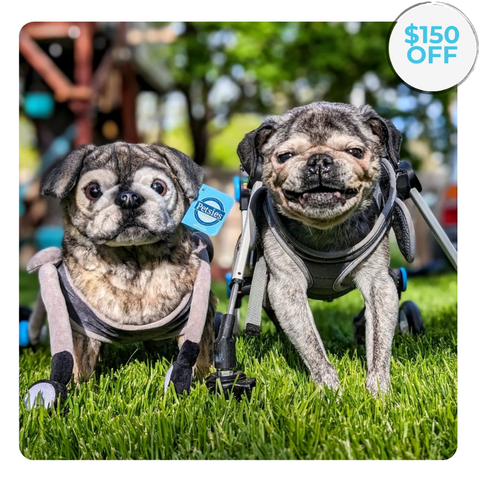 Petsies $150 Off Promotion