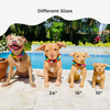 Select to view 'petsies vs cuddle clones sizes' image