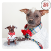 Select to view 'turn your pet into a figurine' image