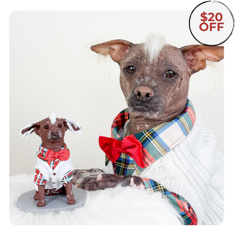 turn your pet into a figurine
