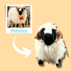 Select to view 'Sheep' image