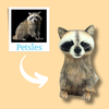 Select to view 'Raccoon' image