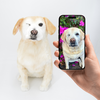 Select to view 'Petsies custom stuffed animals lookalike replica ' image