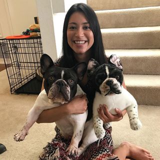 forevers French bulldog plush