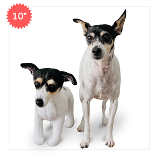 turning your pet into a plush keepsake