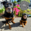 Select to view 'gift for pet lovers 100% money back ' image