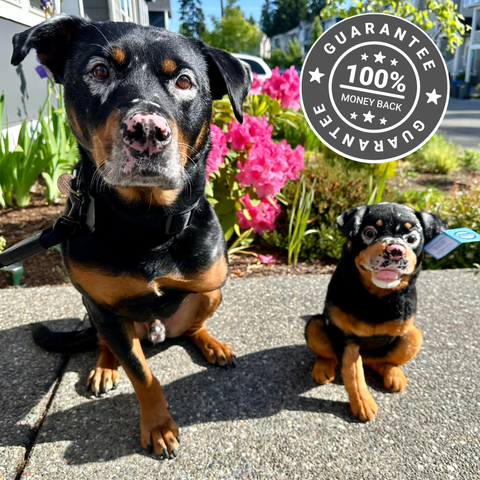 gift for pet lovers 100% money back