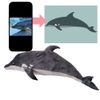 Select to view 'Dolphin cartoon custom plushie' image