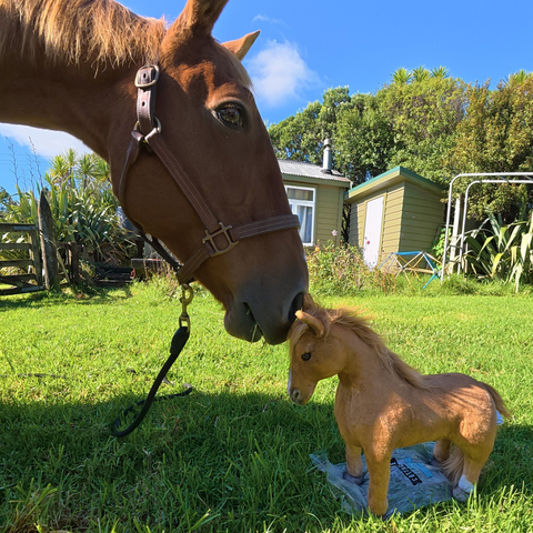horse stuffed animal gift for horse owners