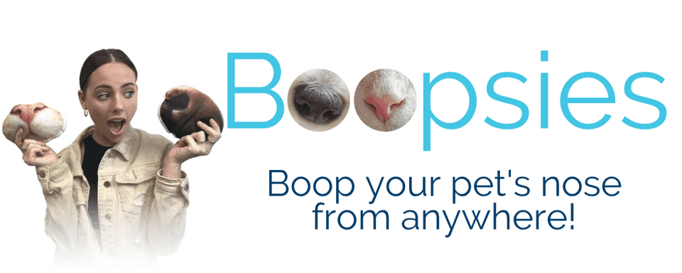 Boopsies April Fools Product 