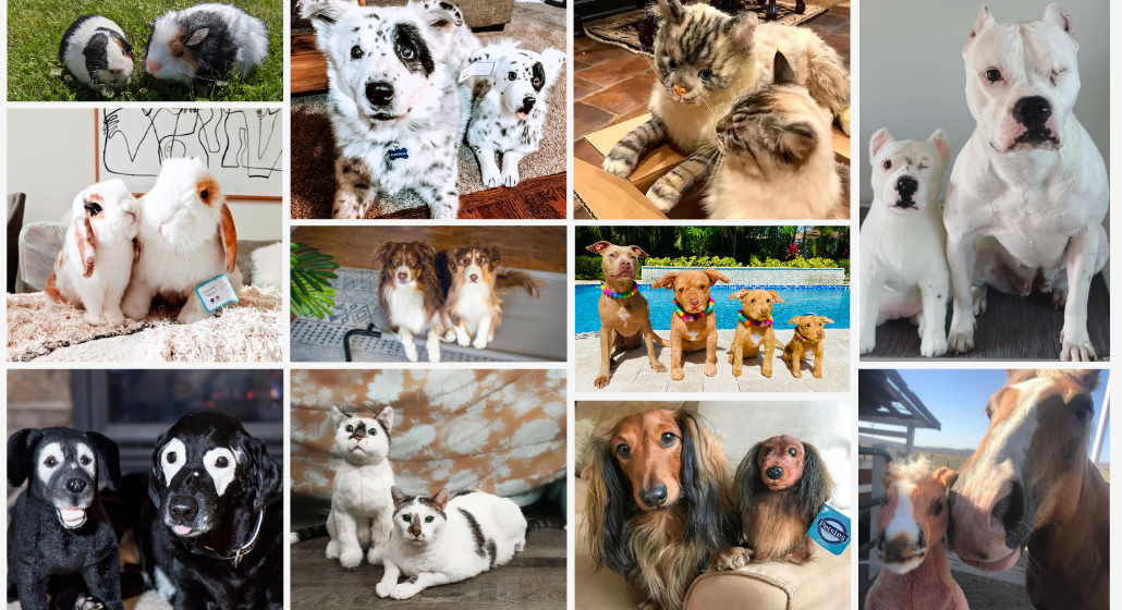 Pet stuffed animals