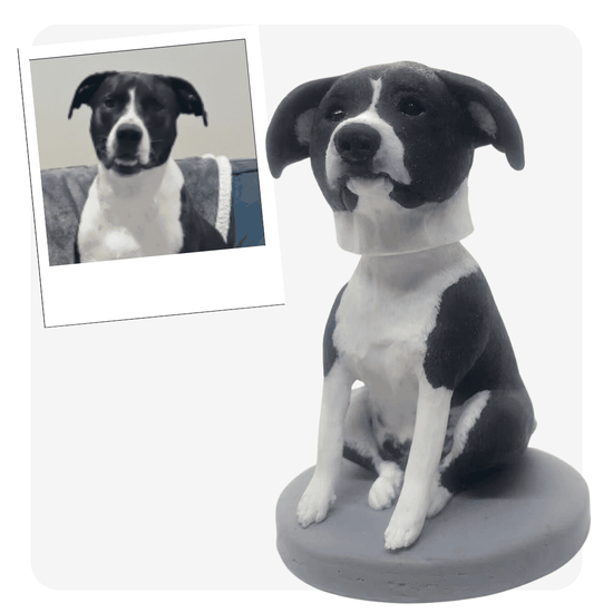pet bobblehead