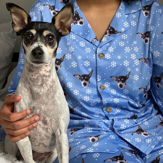 Christmas Stuffed Animal Pet Lookalike