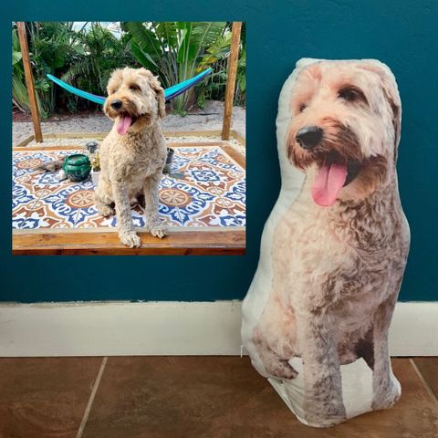personalized pet pillows 