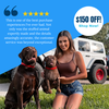 Select to view 'Petsies custom stuffed animals lookalike replica ' image