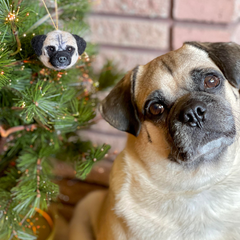 personalized pet ornament