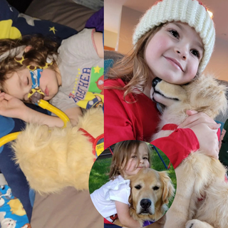 Petsies Pals Donation Program