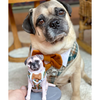 Select to view 'Pug figurine' image