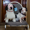Select to view 'Stuffed Animal Plush Lookalike Replica' image