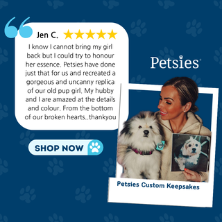 petsies plush