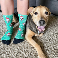 personalized pet socks