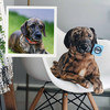 Select to view 'Petsies custom stuffed animals lookalike replica ' image