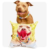 personalized pet photo pillows