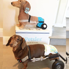 Select to view 'Stuffed Animal Plush Lookalike Replica' image