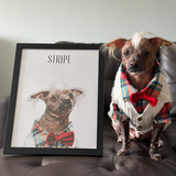 personalized pet portraits