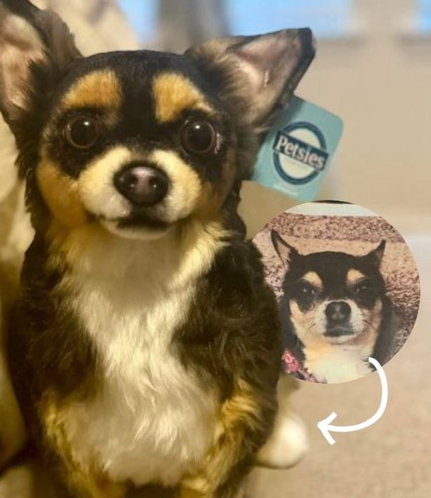 Petsies Custom Plushie