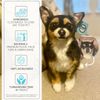 Select to view 'Petsies $100 Off Promotion' image