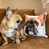personalized pet photo pillows