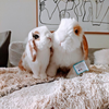 Select to view 'Personalized Bunny Stuffed Animal Plush Lookalike 4' image