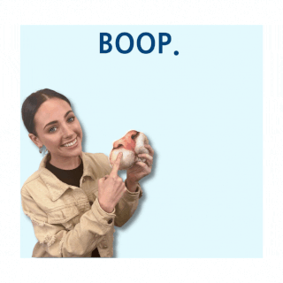 get a stuffed pillow pet nose