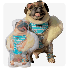 personalized pet pillows 