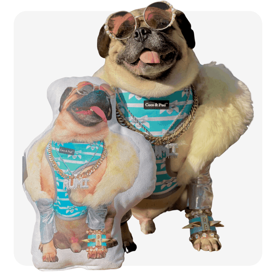 personalized pet pillows