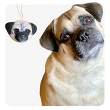 personalized pet ornament