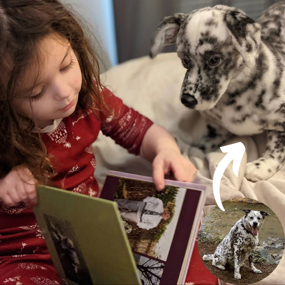 Custom Pet Memorials stuffed animal