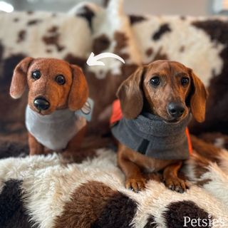 Christmas Stuffed Animal Pet Lookalike