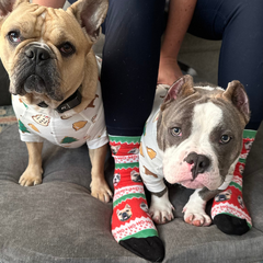 custom pet socks