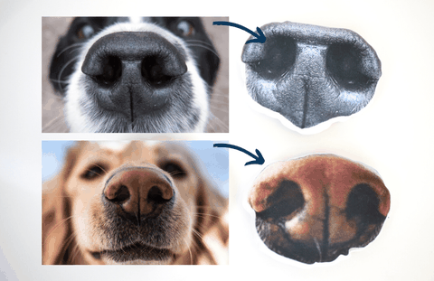 nose boop