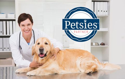 partner with petsies