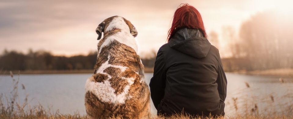 pet and owner sunset